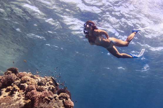 SNORKELLING TRIPS IN HURGHADA